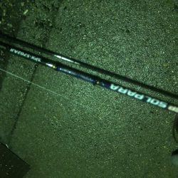 小雨の中でアジング